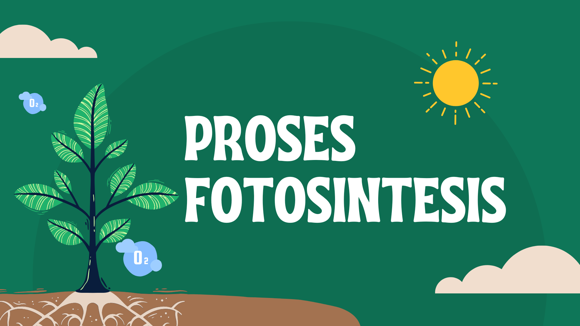 Fotosintesis
